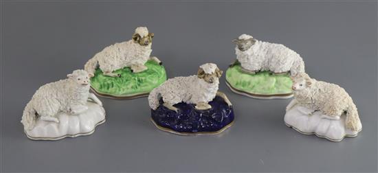 Five Samuel Alcock porcelain figures of recumbent sheep, c.1835-50, L. 9.5 - 10cm
